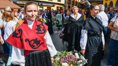 El Día del Bierzo en imágenes