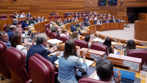 Segunda jornada de la primera sesión plenaria del curso en las Cortes de Castilla y León | Miriam Chacón / ICAL