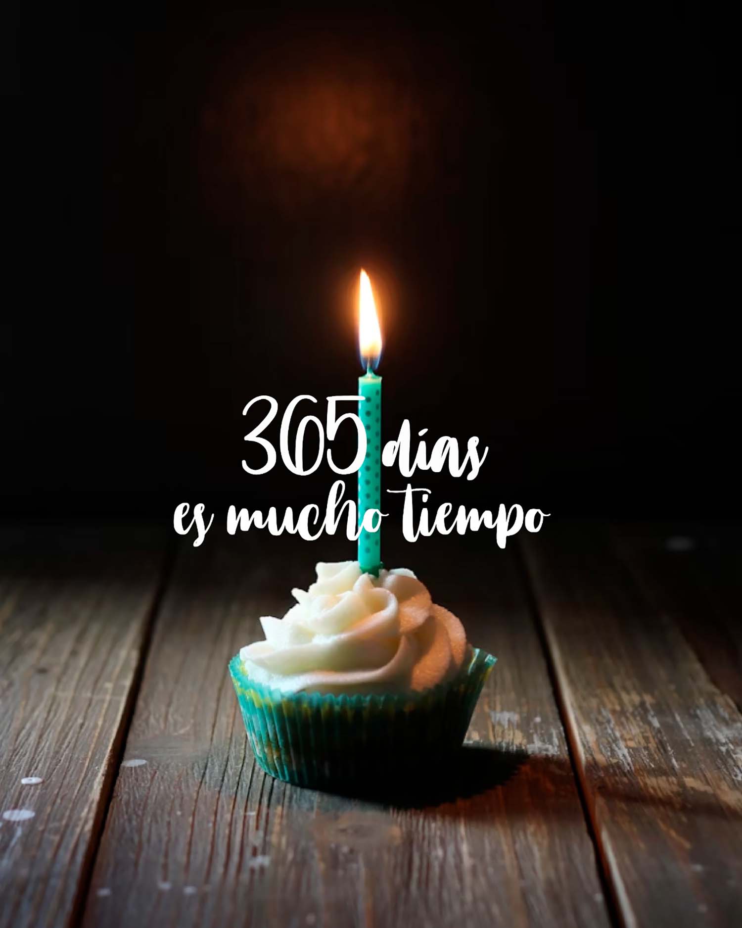 Un año de Oncobierzo