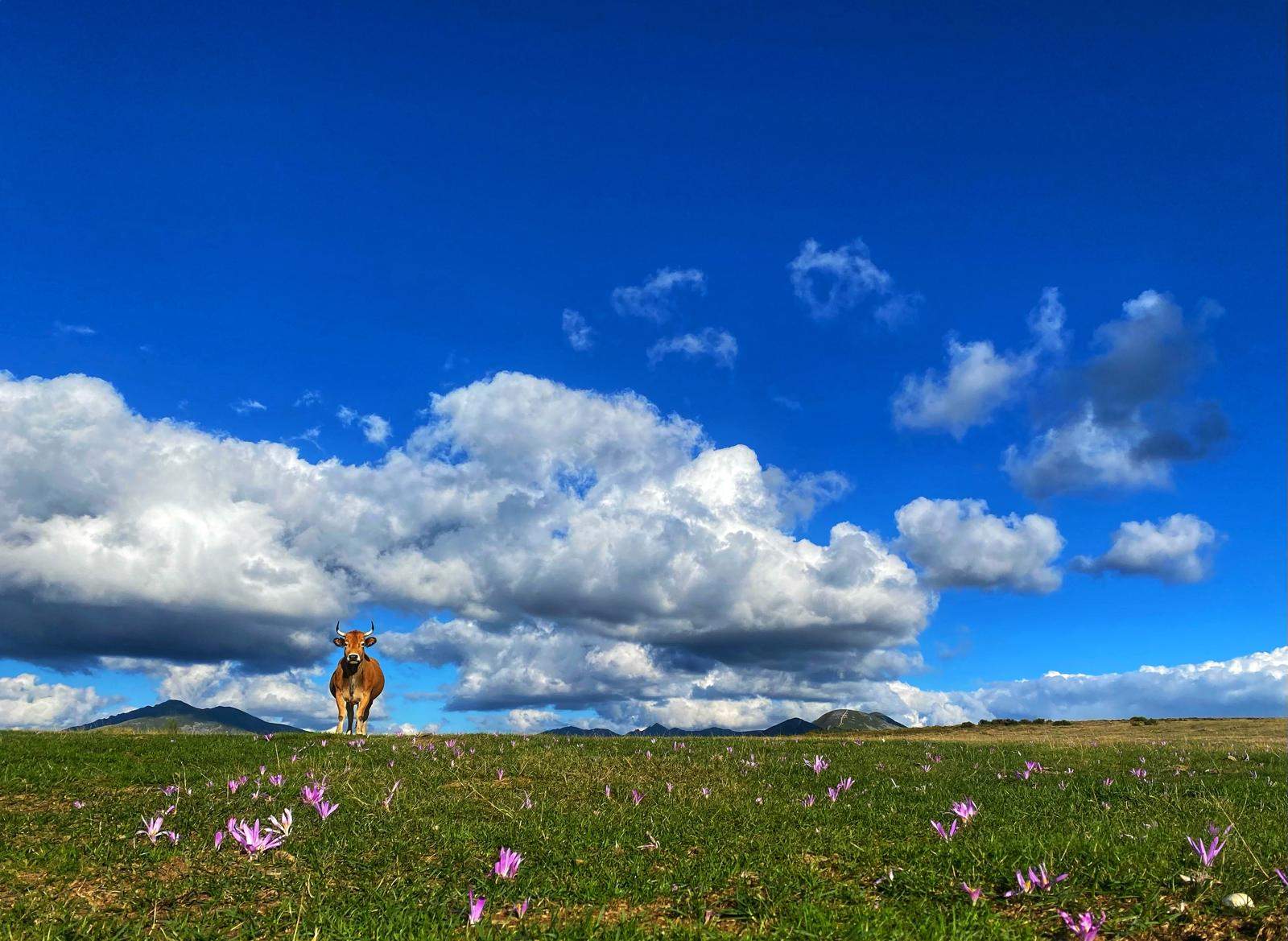 Valles del Sil Trail (1) Valles del Sil Trail (1)