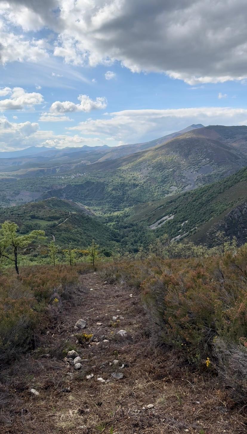 Valles del Sil Trail (3) Valles del Sil Trail (3)