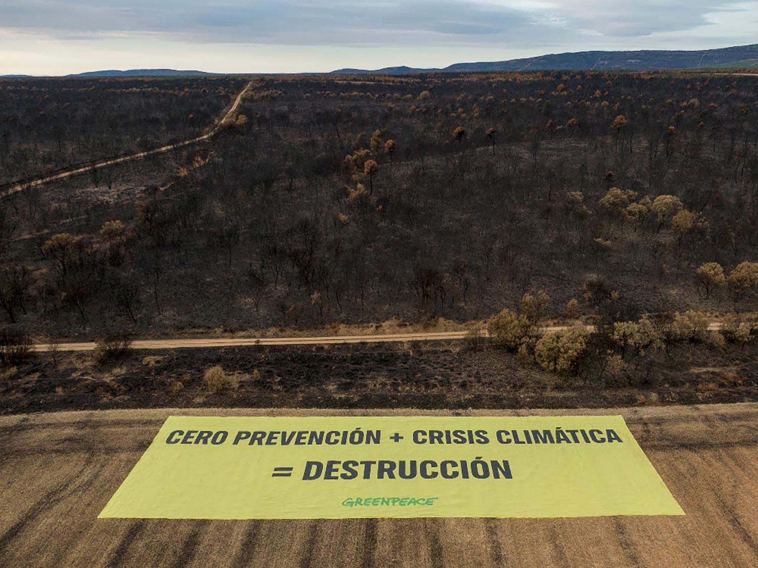 Pancarta gigante de Greenpeace en Palacios de Jamuz