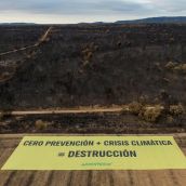 Pancarta gigante de Greenpeace en Palacios de Jamuz