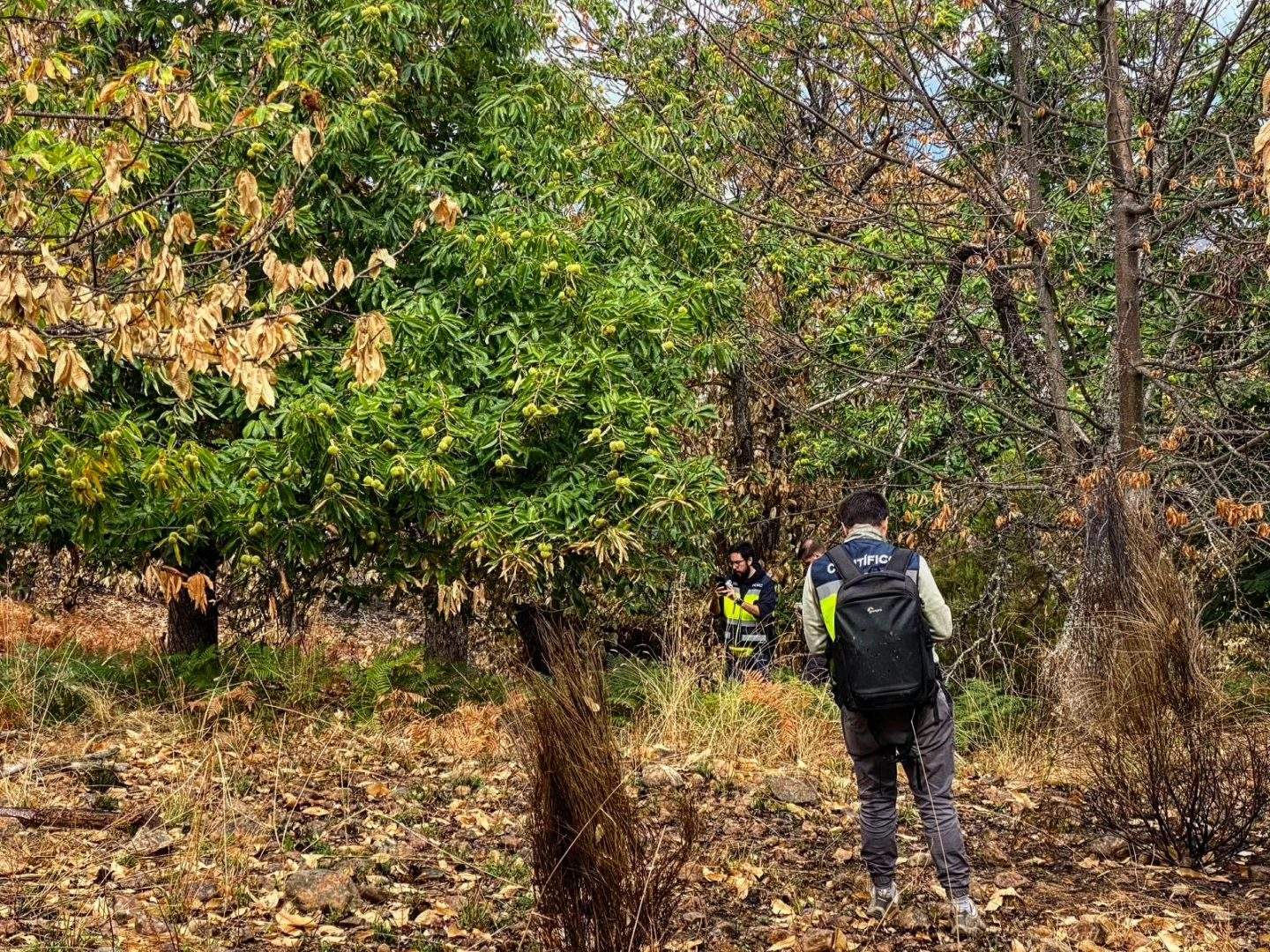 Expertos del CSIC y del CN IGME en Las Médulas (1)