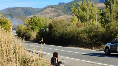 Detenido en el incendio de Borrenes