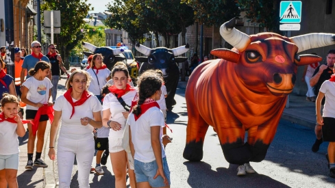  Sancristines Fiestas del Cristo de Bembibre (43)