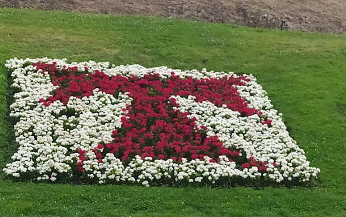 jardines ponferrada flores invierno