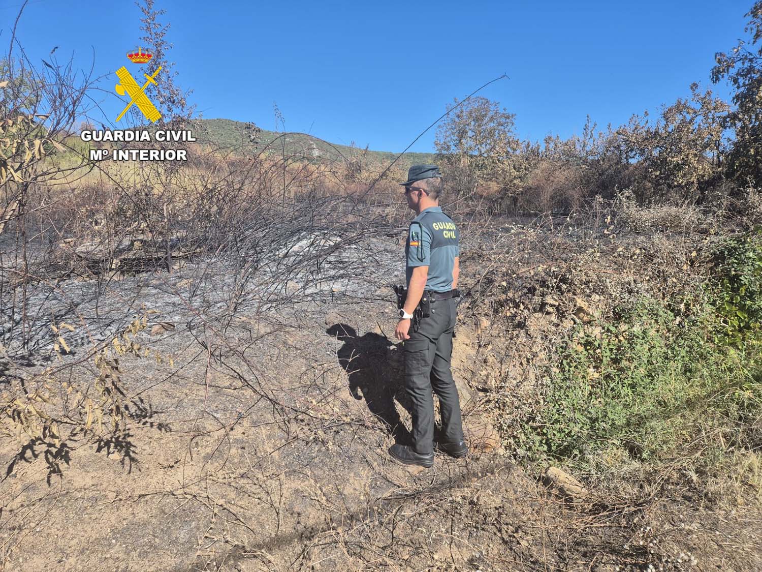 Incendio San Juan de Paluezas (Borrenes)