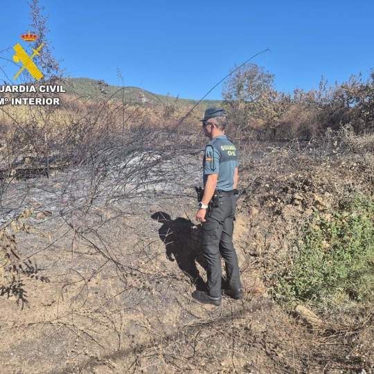 Incendio San Juan de Paluezas (Borrenes)