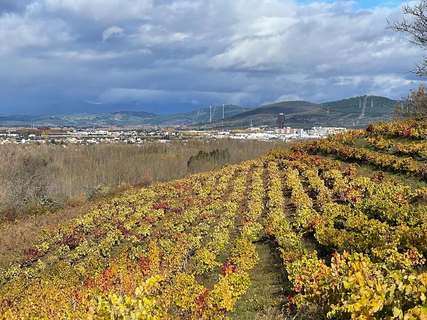 La Aemet prevé que el otoño en Castilla y León será seco y más cálido de lo habitual