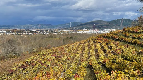 Imagen de un paisaje otoñal en Ponferrada