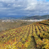 Imagen de un paisaje otoñal en Ponferrada