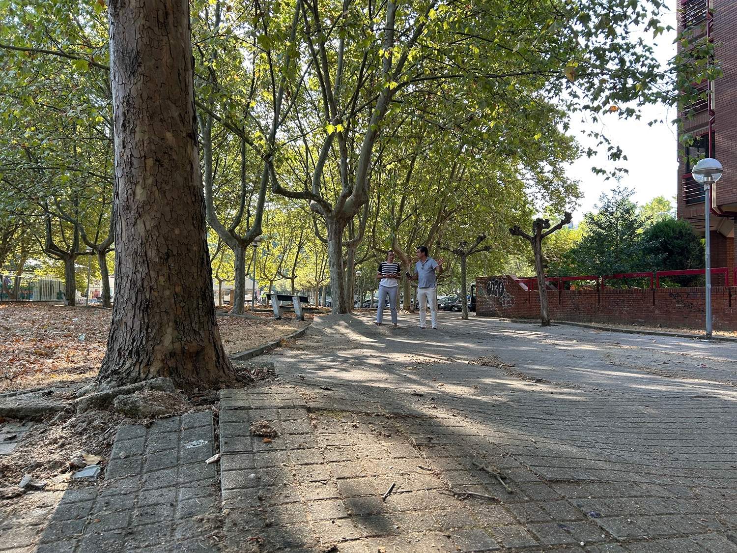 Comienzan las obras de reparación de aceras en el entorno del Colegio Infantil Peñalba en Ponferrada Comienzan las obras de reparación de aceras en el entorno del Colegio Infantil Peñalba en Ponferrada