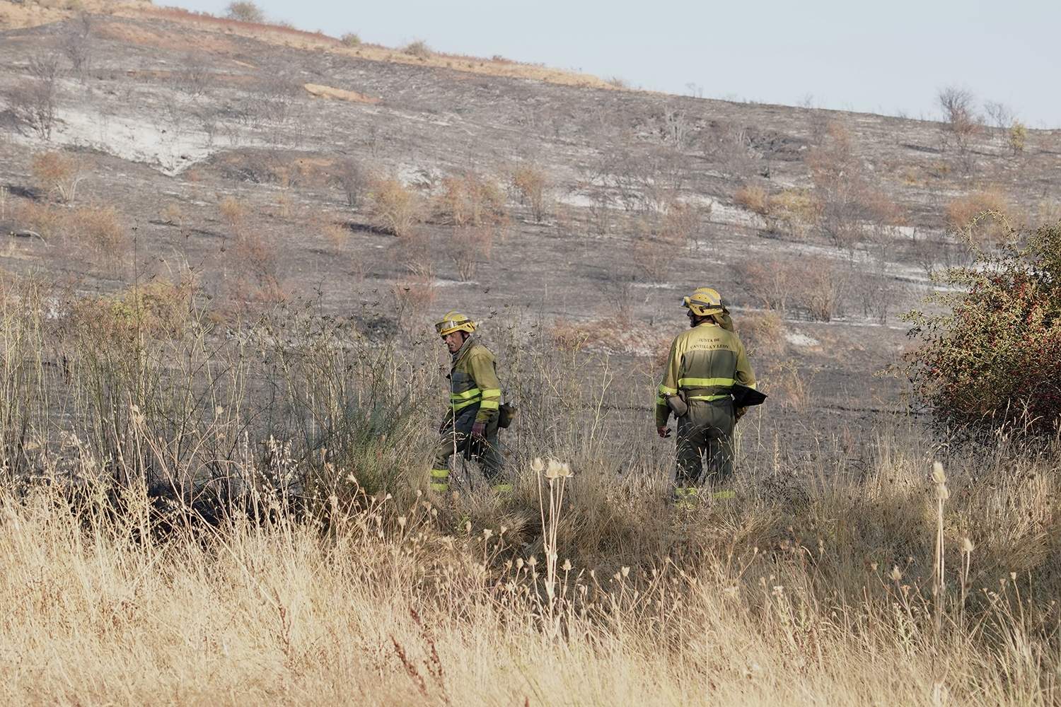 Campillo ICAL. Incendio en la localidad leonesa de Quintana de Raneros.