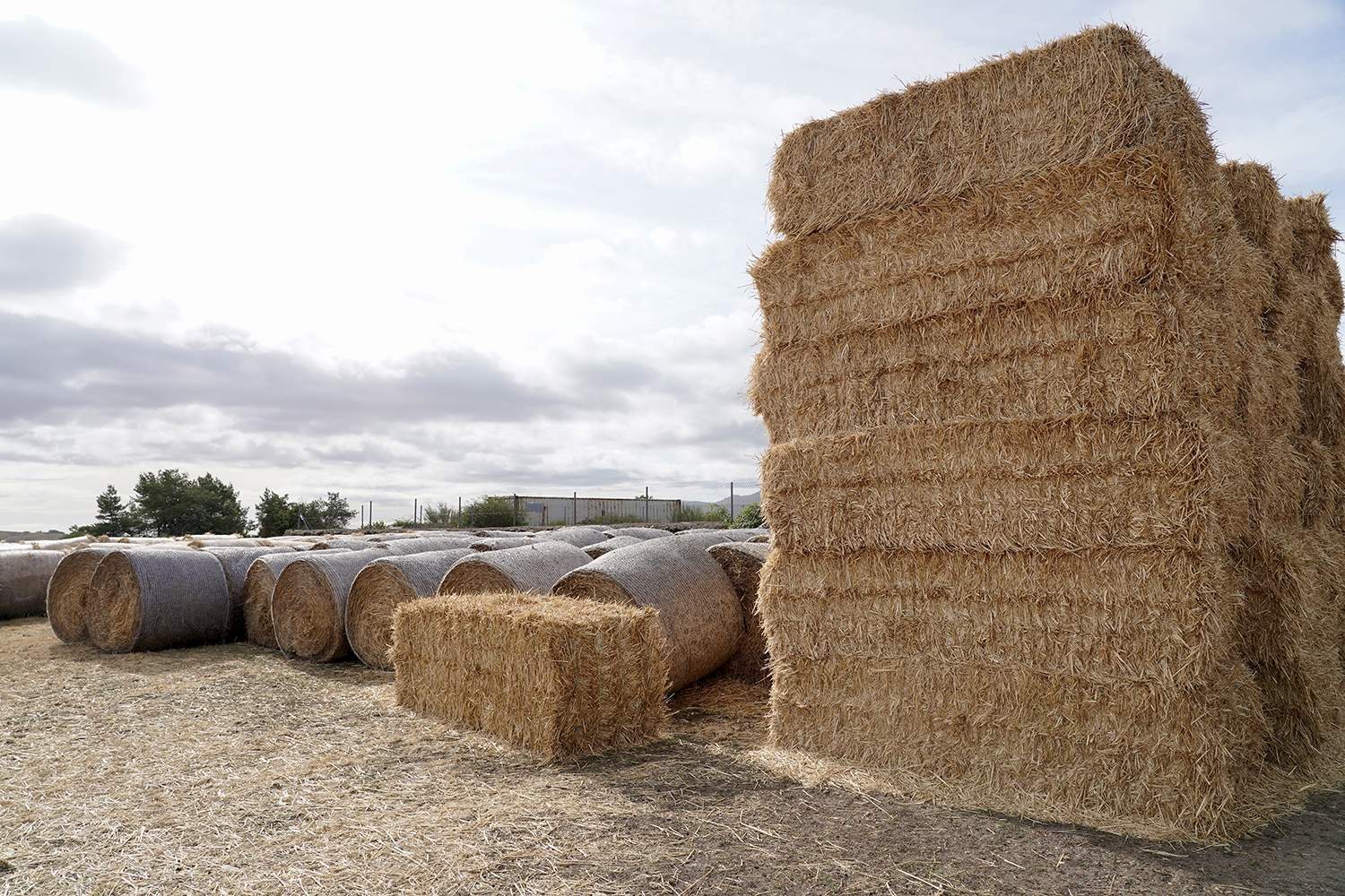 Agricultura | Ugal-Upa denuncia los problemas para que los jóvenes puedan incorporarse al sector agrario con sólo el CIFP de Almázcara para las prácticas