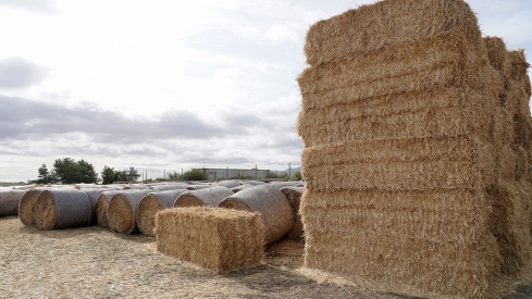 Agricultura | Ugal-Upa denuncia los problemas para que los jóvenes puedan incorporarse al sector agrario con sólo el CIFP de Almázcara para las prácticas