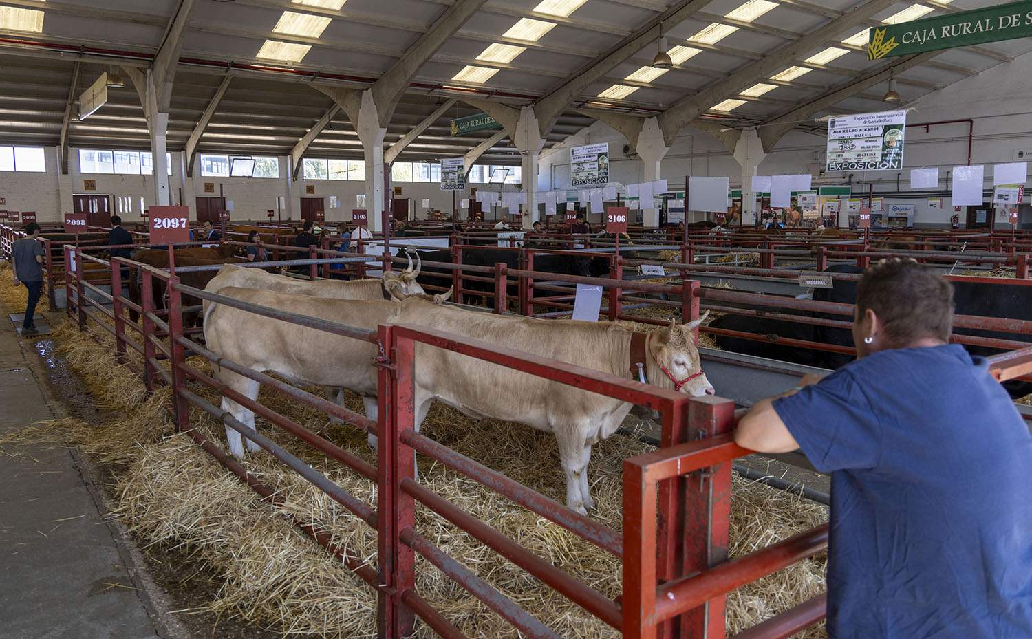 Susana Martín ICAL. Inauguración de Salamaq 2025. Ganadería