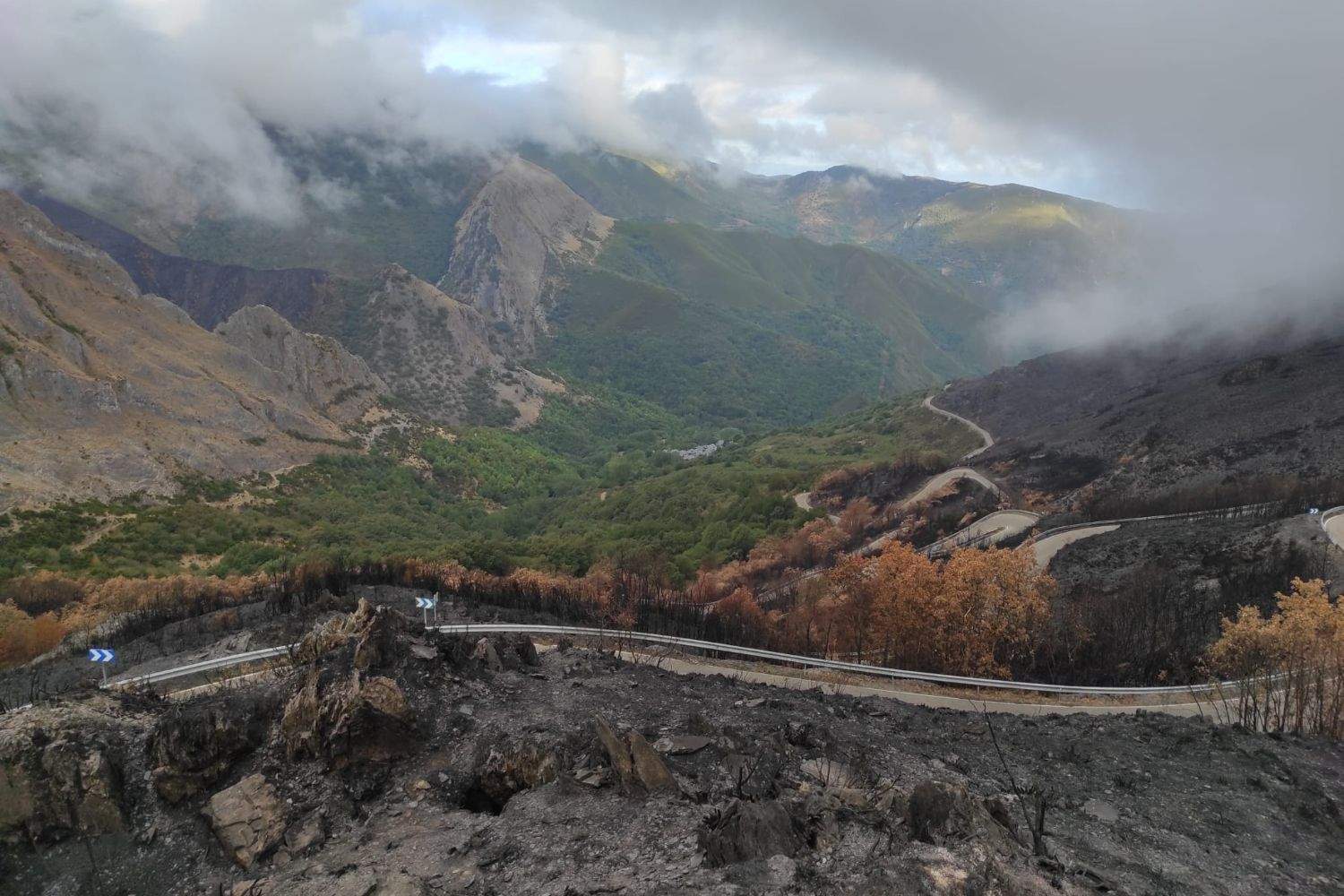 Imagen de un incendio forestal en la provincia de León 