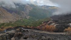 Imagen de un incendio forestal en la provincia de León 