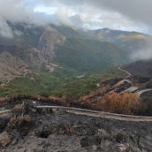 Imagen de un incendio forestal en la provincia de León 