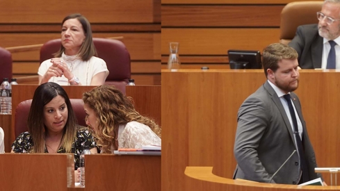 Nuria Rubio, procuradora del PSOE en las cortes de Cyl y e procurador de Vox Miguel Suárez Arca, durante el Pleno de las Cortes de Castilla y León. ICAL. 