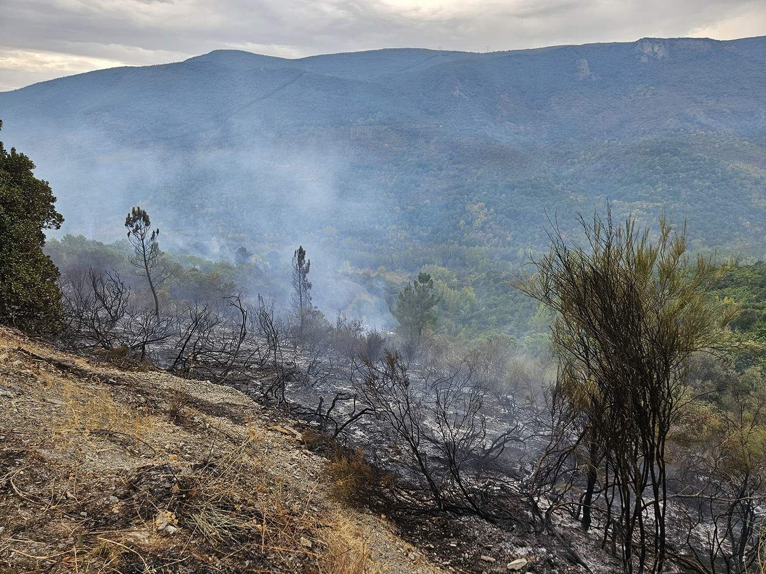 Incendio en Sobrado 2