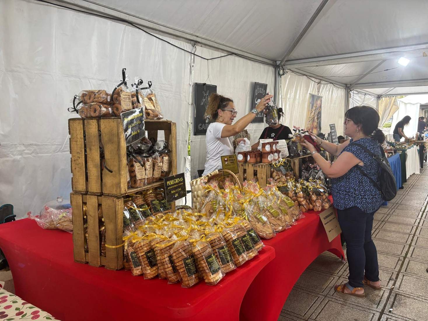 Mercado de Verano de Ponferrada (4)