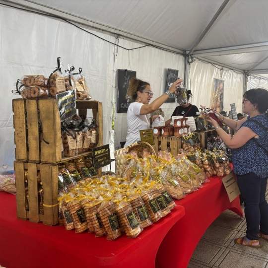 Mercado de Verano de Ponferrada del 2025