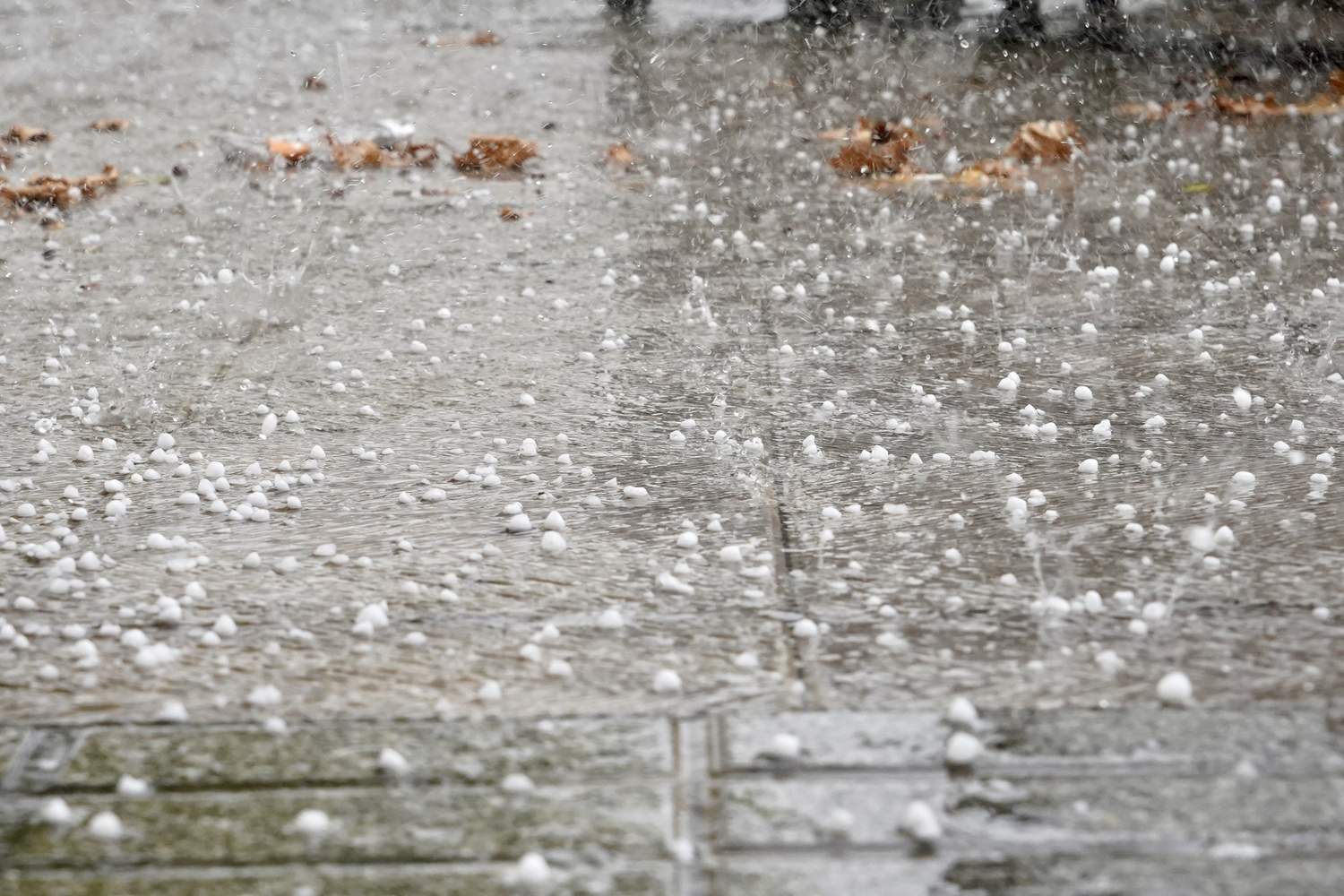Tormenta en Valladolid | Miriam Chacón / ICAL Tormenta en Valladolid | Miriam Chacón / ICAL