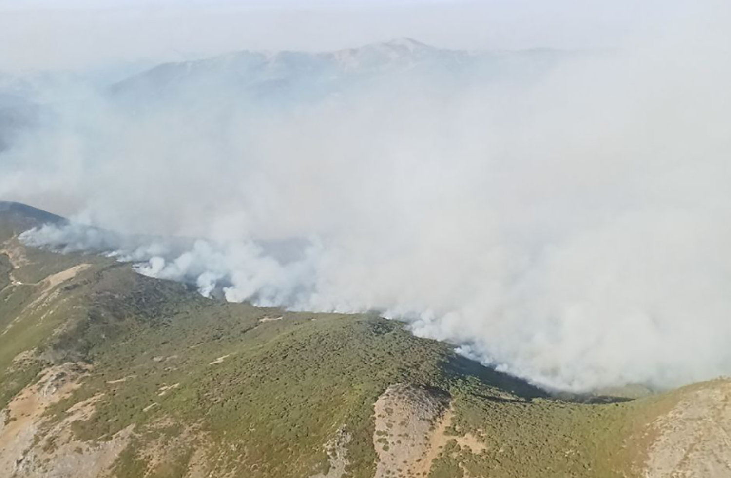 La investigación de incendio forestal de Pendilla de Arbás (Villamanin) apunta a un origen provocado
