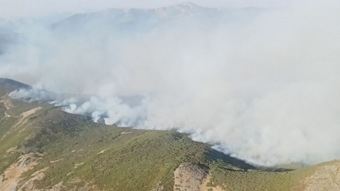 La investigación de incendio forestal de Pendilla de Arbás (Villamanin) apunta a un origen provocado