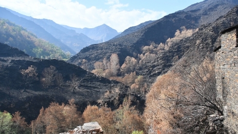 Las cenizas de Arnado  (4)