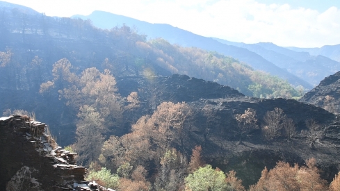 Las cenizas de Arnado  (5)