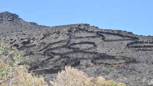 Las cenizas de Arnado  (13)