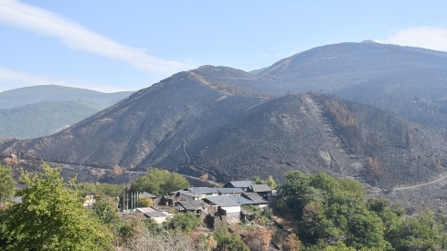 Las cenizas de Arnado  (14)