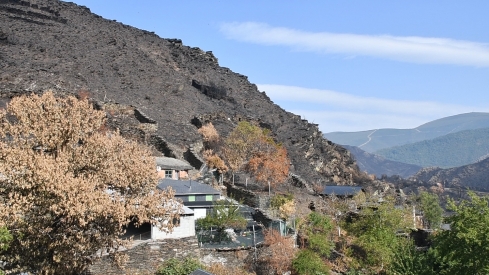 Las cenizas de Arnado  (15)