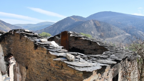 Las cenizas de Arnado  (16)