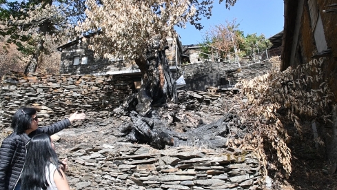 Las cenizas de Arnado  (17)