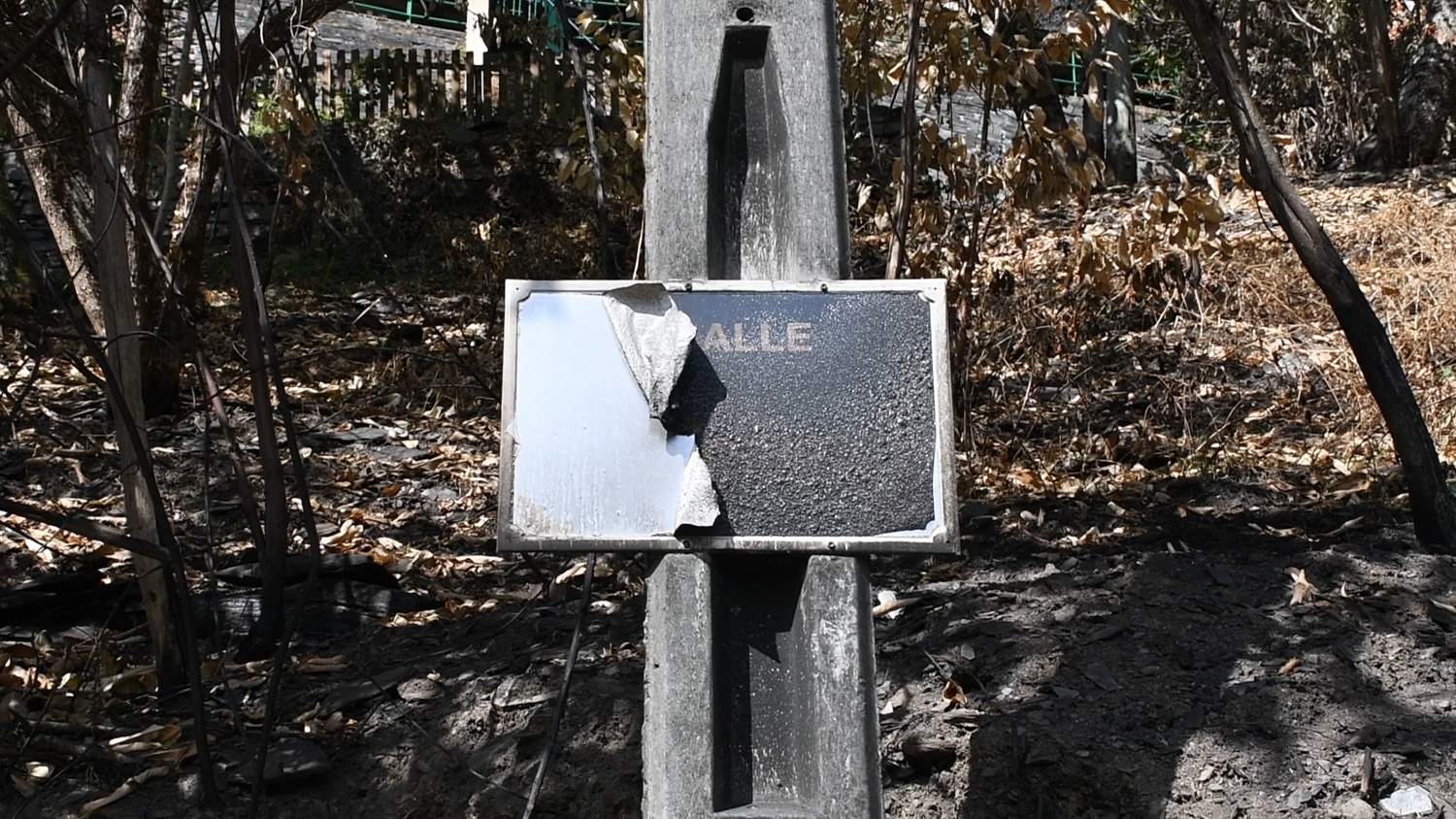 Las cenizas de Arnado(22)