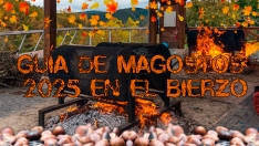 Guía de magostos 2025