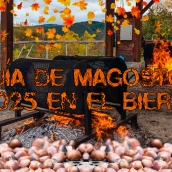 Guía de magostos 2025