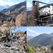 Las cenizas de Arnado