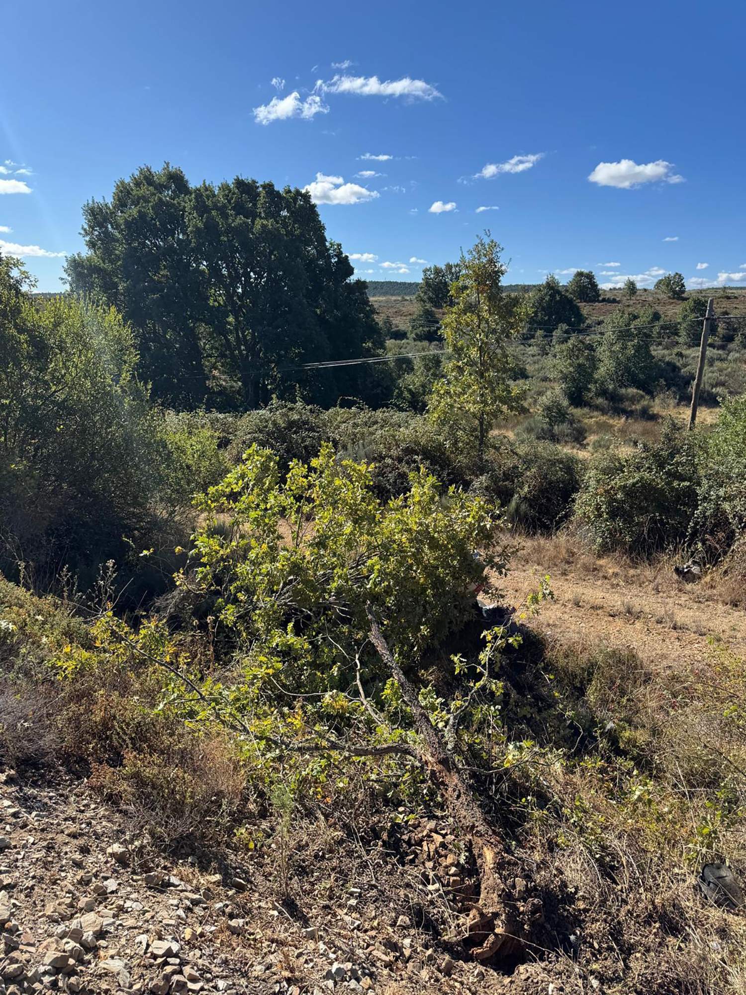 Accidente en la N6 en Brazuelo 3