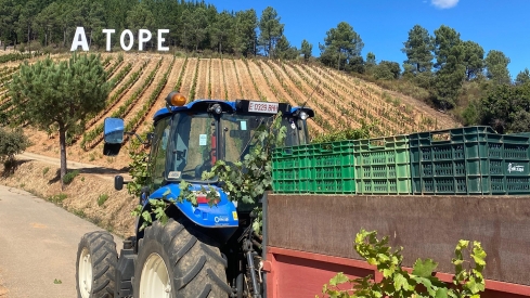 Fin de la vendimia en Prada a Tope