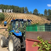 Fin de la vendimia en Prada a Tope