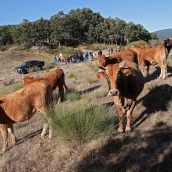 Castilla y León destina un millón de euros a la formación en los sectores agrario, alimentario y forestal