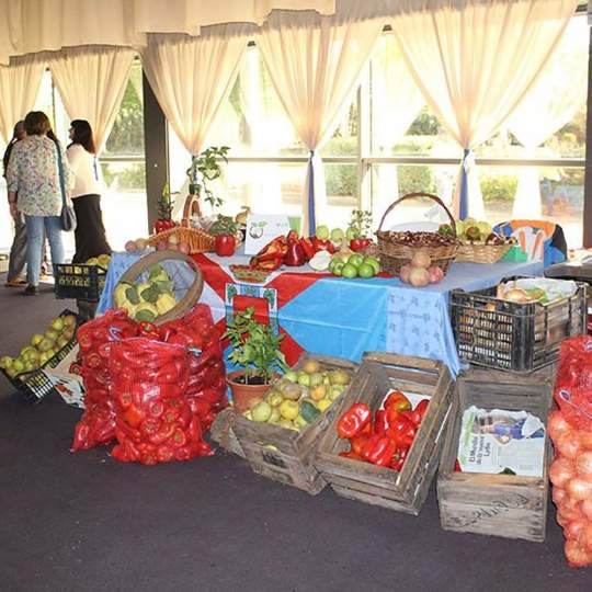 La IGP anuncia la suspensión de la Feria del Pimiento Asado del Bierzo en Carracedelo por falta de producto