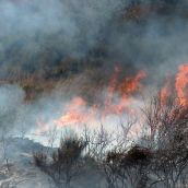 Incendio en una imagen de archivo. Medios aéreos y terrestres luchan contra un nuevo incendio San Martín de Moreda (Vega de Espinareda)