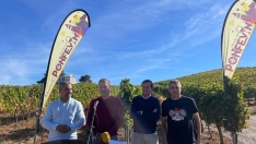 Nueva imagen de la Feria del Vino: Ponfevin incorpora concurso de pisado de uva, ticket premium al turismo y moneda propia