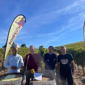 Nueva imagen de la Feria del Vino: Ponfevin incorpora concurso de pisado de uva, ticket premium al turismo y moneda propia